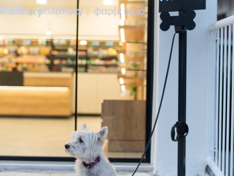 ΦΑΡΜΑΚΕΙΟ ΚΑΤΣΙΟΥ ΝΤΙΣΙΟΥ ΑΛΙΜΟΣ