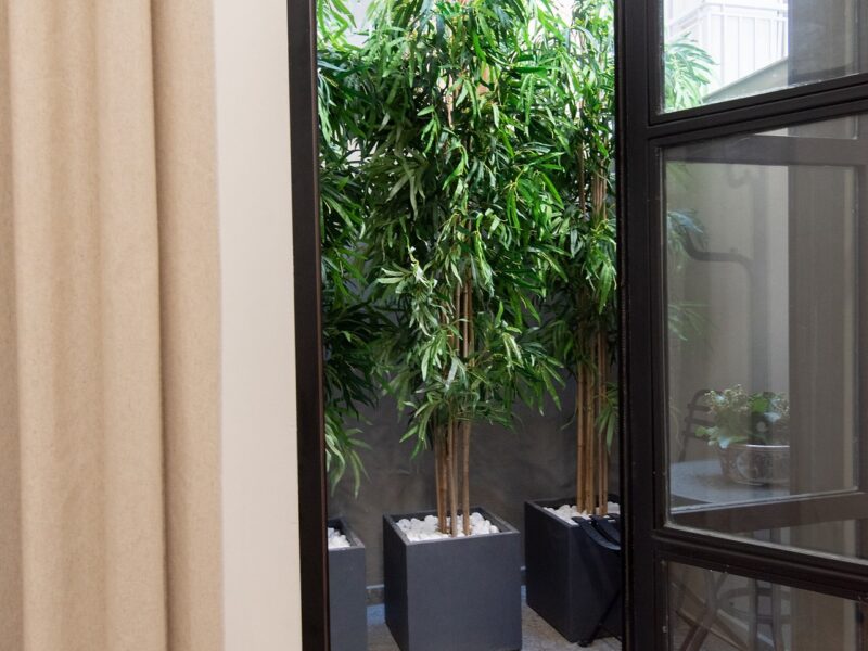 ΙΗΣΗΣ θεραπευτηριο Βυρωνας