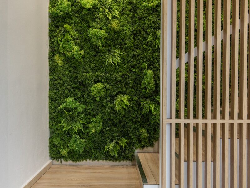 Baby boom Δεμπεγιωτης Καλαματα