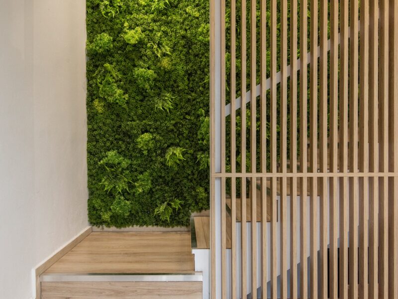 Baby boom Δεμπεγιωτης Καλαματα