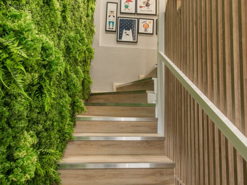 Baby boom Δεμπεγιωτης Καλαματα